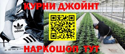 дурь Гатчина