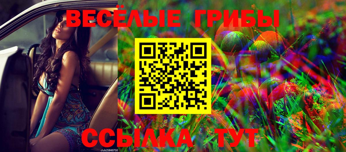 Псилоцибиновые грибы ЛСД  Вход с VPN  цена наркотик  Можга 