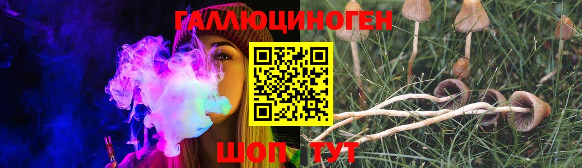 Псилоцибиновые грибы Psilocybine cubensis Можга